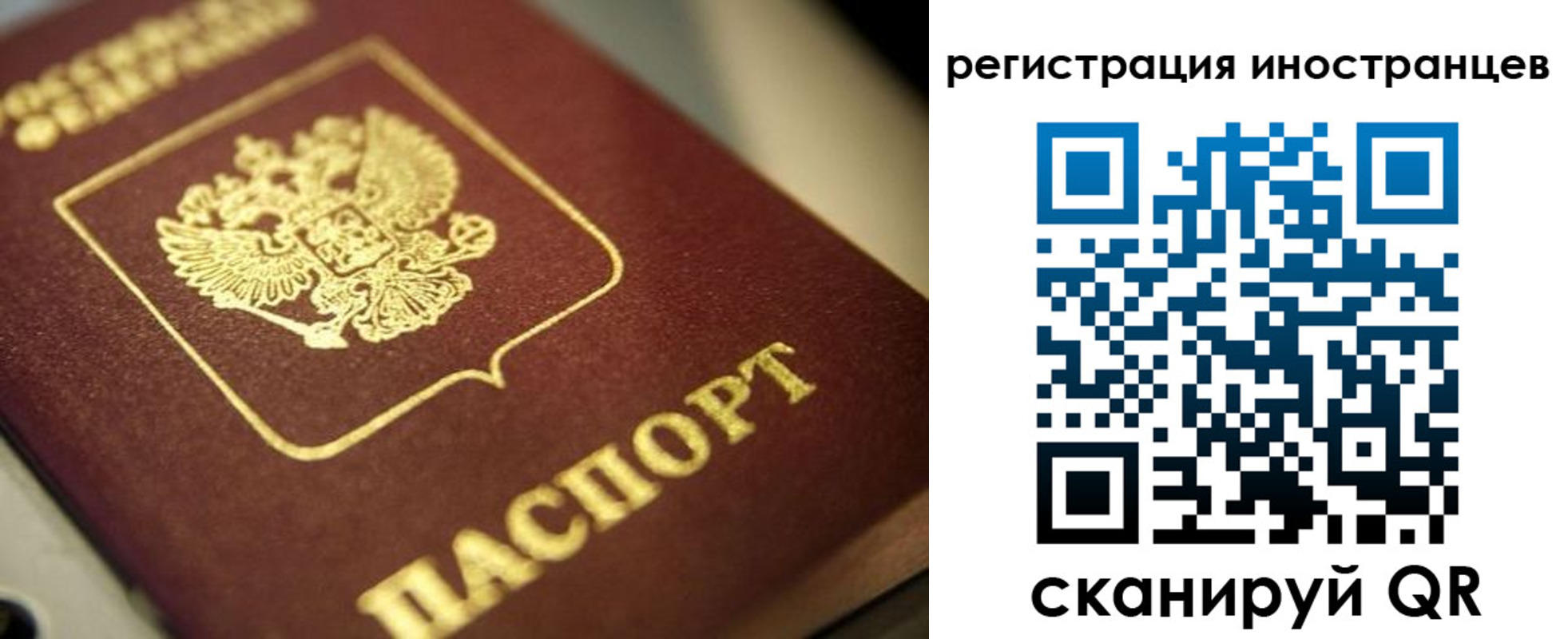 временная регистрация поиск в Благовещенске